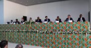 Huile de palme : le Cameroun a produit 450 000 tonnes en 2024