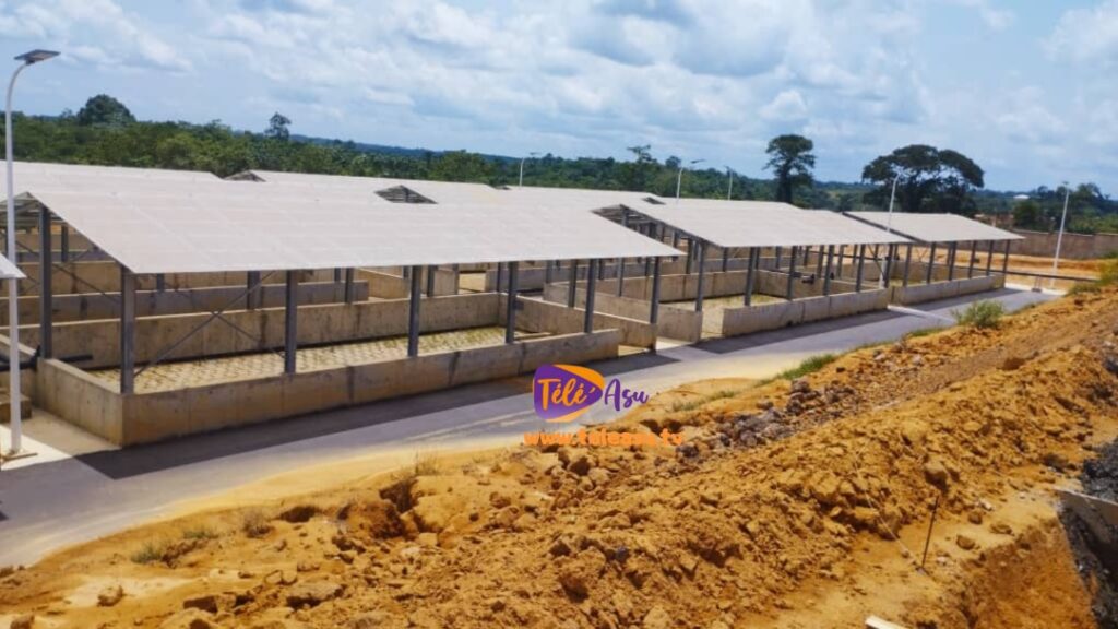 Ngombe : à la découverte de la station de traitement des boues de vidange
